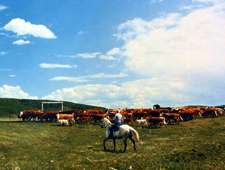 Canada-Alberta-Southern Alberta Ranch